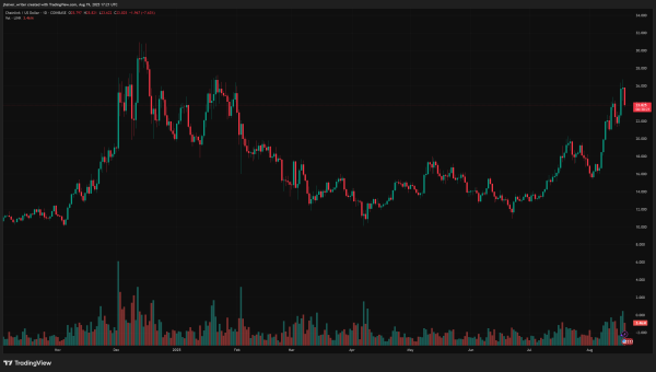 Chainlink Surges to 7-Month High on Wallet Growth: Is $30 Be Just the Beginning?