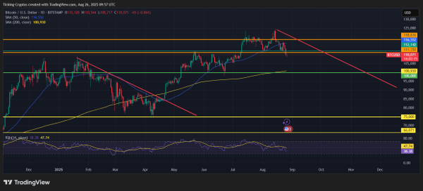Bitcoin Crash: Will the $110K Support Hold or Break Lower?